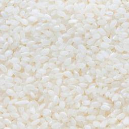 JAPANESE RICE JAPONICA 5KG (REPACK) - Kitchen Convenience: Ingredients & Supplies Delivery