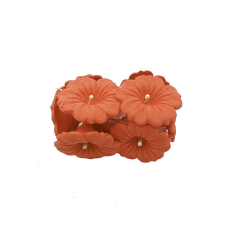 APPLE BLOSSOM ORANGE 10'S - Kitchen Convenience: Ingredients & Supplies Delivery