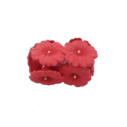 APPLE BLOSSOM RED 10'S - Kitchen Convenience: Ingredients & Supplies Delivery
