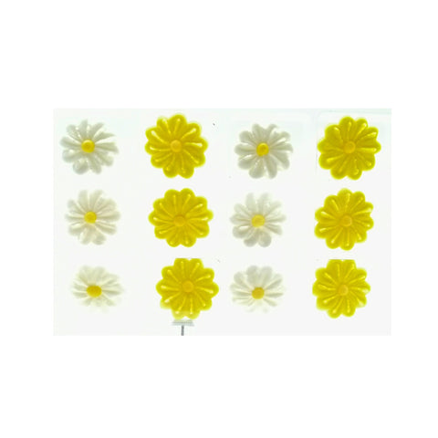 DAISY