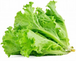 LETTUCE- GREEN ICE 1KG - Kitchen Convenience: Ingredients & Supplies Delivery