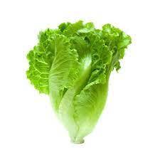 LETTUCE ROMAINE 1KG - Kitchen Convenience: Ingredients & Supplies Delivery