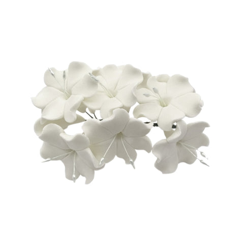 SL0241 AZALEA 10N1