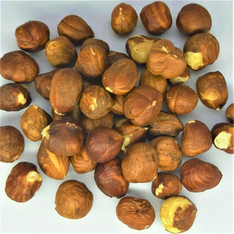 SL084 HAZEL NUT