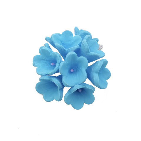 STEPHANOTIS BLUE 10'S