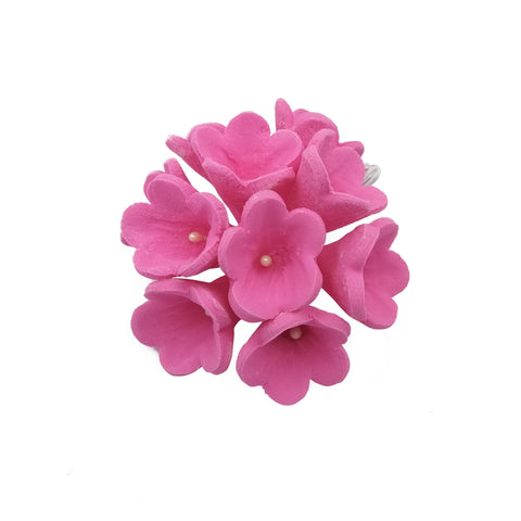 STEPHANOTIS PINK 10'S
