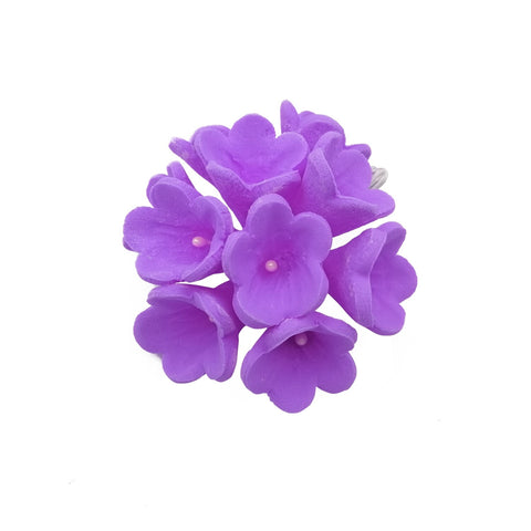 STEPHANOTIS VIOLET 10'S