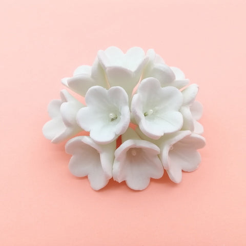 STEPHANOTIS WHITE 10'S