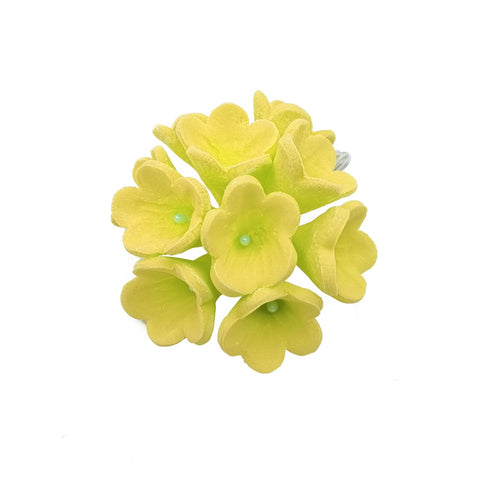 STEPHANOTIS YELLOW 10'S