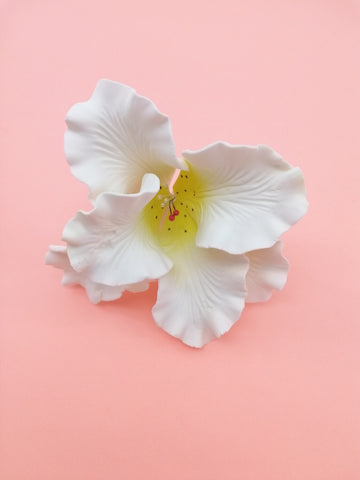 TIGER LILY